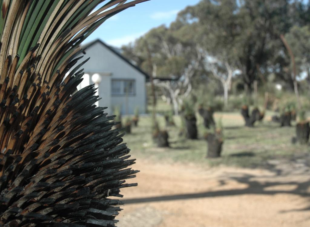 Esperance Coastal Retreat Villa Екстериор снимка